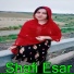 Shafi Esar