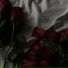 Reddrose, Vamp The Kid