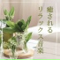 スパ リラックス Specialists