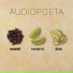 Audiopoeta