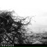 TREVOGII