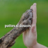 Musique Calmante Pour Chiens