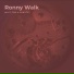 Ronny Walk