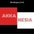 AKKA NESIA