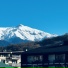 tonichelli