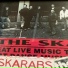 The Skarabs