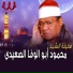 Al Sheikh Mahmoud Abo Al Wafa Al Seidy