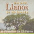Mariachi Llanos De Michoacan