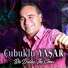 Çubuklu Yaşar