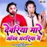 Manoj Baghel Raja Hindustani, Neetu Tomar
