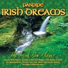 The Irish Pan Players
