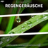 Nico Kirff, Regengeräusche, Schlafmusik