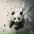 Panda Lofi, Panda Study, Panda Music
