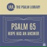 The Psalm Library feat. Kip Fox