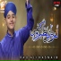 Rao Ali Hasnain