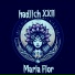 Hadlich XXII