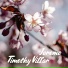 Timothy Villar