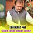 Falaknaz Naz