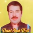 Ustad Shah Wali