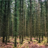 Brain Fog Relief, Brain Fog, Sound Heal