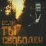 Даниил Воронин, Дима Терех