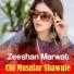 Zeeshan Marwat