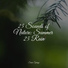Yoga Para Ninos, Rain Spa, Natural Nature Makers