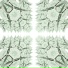 tropical interface