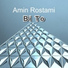 Amin Rostami