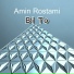 Amin Rostami