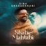 Sina Shabankhani