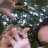 nibless