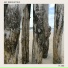 Jeff Derouet Trio