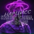 Stashion, Vladima, Siox Raymon