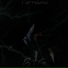 Tomaxo