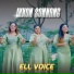 Ell Voice