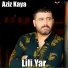 Aziz Kaya
