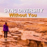 Sync Diversity & Karl Schaap