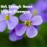Wijtse Finnegan