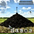 Нарушители спокойствия