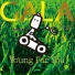 GALA