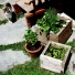 Dot Cotton's Veg Box