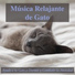 RelaxMyCat, Relax My Kitten, Cat Music Dreams