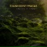 Evanescent Fracas