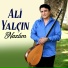 Alevi Türküleri