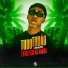 Dj VN maestro