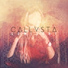 Callysta