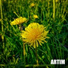ARTIM