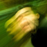 Arpseze feat. Lil Yan
