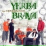 Yerba Brava